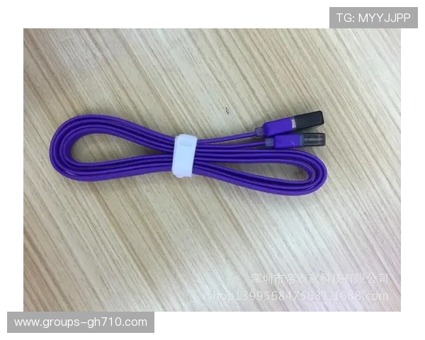 果冻游戏机充电口标志解析及功能介绍